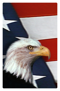 DF35T 410 With Love and Honor